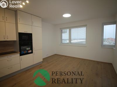 Rent apartment 2+KK Nové Strašecí, Viktora Olivy 1540 č. 1