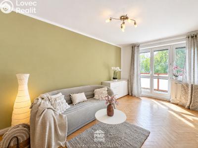 Prodej bytu 2+1 Velké Opatovice, Pod Strážnicí č. 1