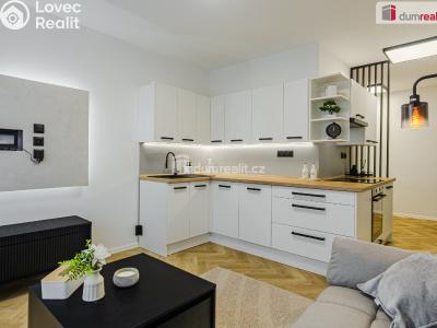 Продаж квартири 2+1 Sokolov, Mánesova č. 1