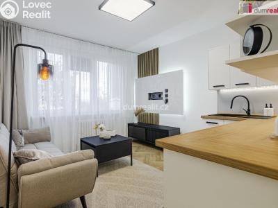 Продаж квартири 2+1 Sokolov, Mánesova č. 2