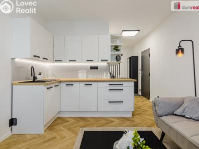 Продаж квартири 2+1 Sokolov, Mánesova č. 6