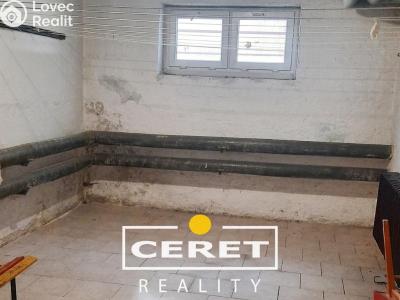 Prodej bytu 2+1 Žatec, Podměstí 2181 č. 10