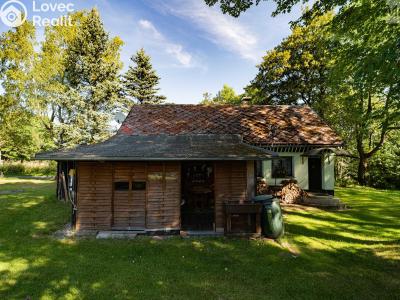 Sale hut Český Jiřetín č. 7