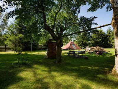 Sale hut Český Jiřetín č. 13