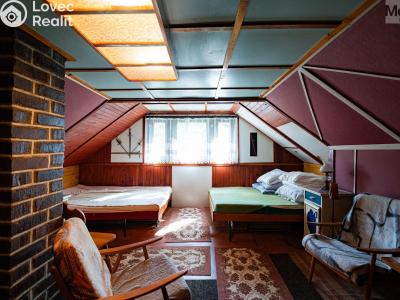 Sale hut Český Jiřetín č. 31