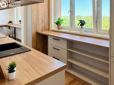 Sale apartment 3+1 Ostrava, Výškovická č. 4