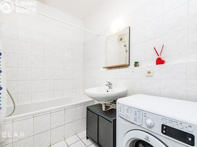 Prodej bytu 1+KK Mladá Boleslav, U Kasáren 1376 č. 5