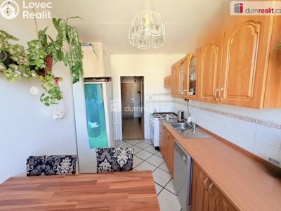 Rent apartment 3+1 Ústí nad Labem, Neštěmická č. 41