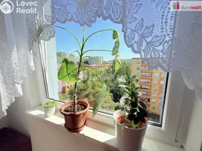 Rent apartment 3+1 Ústí nad Labem, Neštěmická č. 42