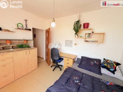 Rent apartment 3+1 Ústí nad Labem, Neštěmická č. 43