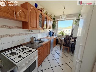 Rent apartment 3+1 Ústí nad Labem, Neštěmická č. 7