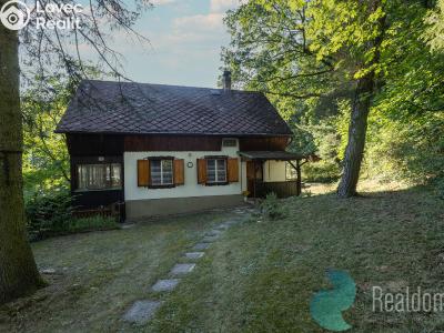 Sale hut Bečice č. 21