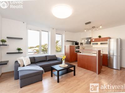 Rent apartment 3+KK Mělník, Za Stadionem č. 1