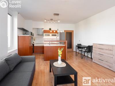 Rent apartment 3+KK Mělník, Za Stadionem č. 2