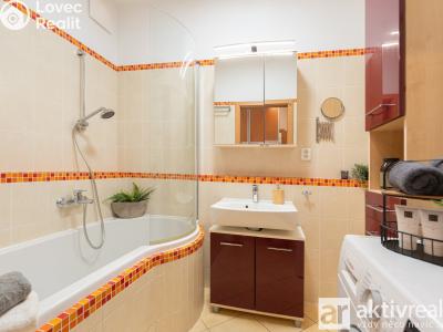 Rent apartment 3+KK Mělník, Za Stadionem č. 7