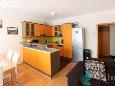 Rent apartment 3+KK Praha, Srbínská č. 3