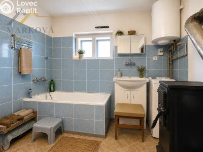 Sale cottage Týn nad Vltavou č. 10