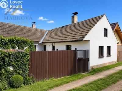 Sale cottage Týn nad Vltavou č. 11