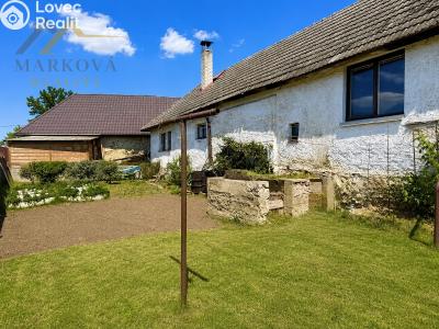 Sale cottage Týn nad Vltavou č. 16