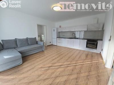 Rent apartment 2+KK Okrouhlo č. 1