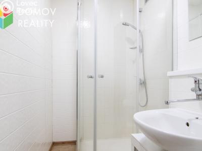 Rent apartment 2+KK Králův Dvůr, Nad Stadionem č. 10