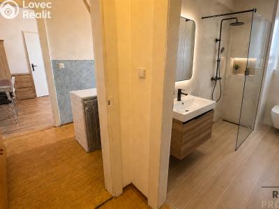 Prodej bytu 2+1 Hodonín, Janáčkova č. 6