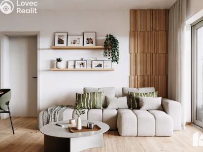 Sale apartment 3+KK Kopřivnice č. 3