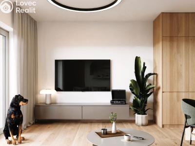 Sale apartment 3+KK Kopřivnice č. 5