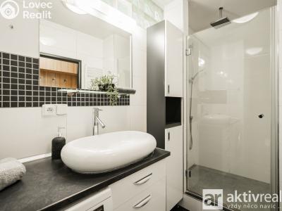 Rent apartment 2+1 Mělník, Studentská č. 14