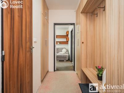 Rent apartment 2+1 Mělník, Studentská č. 16