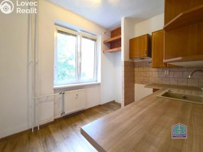 Sale apartment 3+1 Stříbro, Brožíkova 959 č. 15