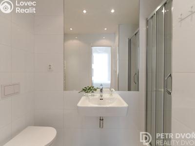Sale apartment 1+1 Praha, U Pernikářky č. 6
