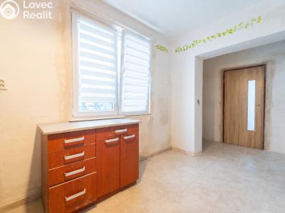 Prodej bytu 2+1 Týnec nad Labem, Marie Majerové 107 č. 11