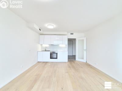 Rent apartment 1+KK Praha 4, Modřany, Mezi vodami č. 1
