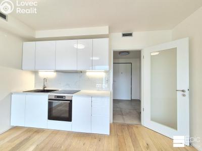 Rent apartment 1+KK Praha 4, Modřany, Mezi vodami č. 2
