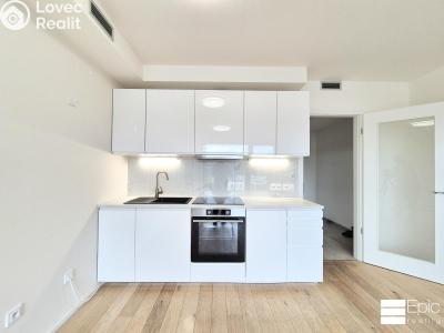 Rent apartment 1+KK Praha 4, Modřany, Mezi vodami č. 3