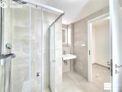 Rent apartment 1+KK Praha 4, Modřany, Mezi vodami č. 4