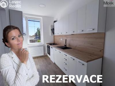 Pronájem rodinného domu Dubí, Sportovní č. 30