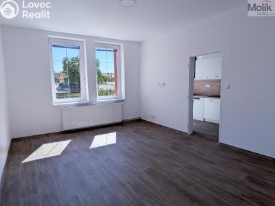 Pronájem rodinného domu Dubí, Sportovní č. 6