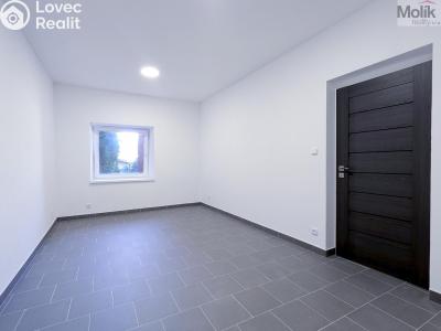 Pronájem rodinného domu Dubí, Sportovní č. 19