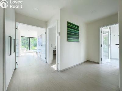 Rent apartment 2+KK Praha, Křížová č. 11
