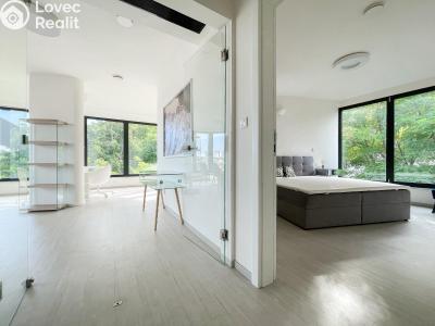 Rent apartment 2+KK Praha, Křížová č. 12