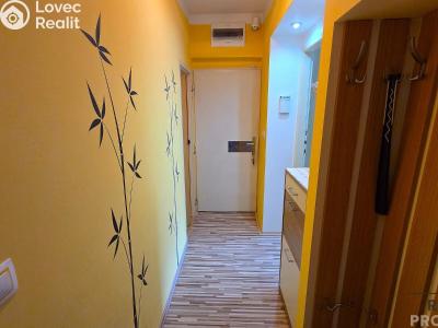 Sale apartment 3+KK Drnovice č. 17