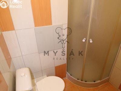 Rent apartment 1+KK Český Krumlov, Vyšehrad 155 č. 4