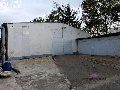 Rent production hall Přelouč, Ledrova 864 č. 8