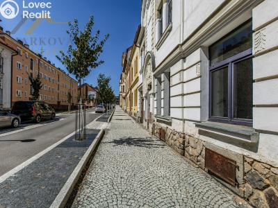 Sale family house Benešov, Žižkova 480 č. 4