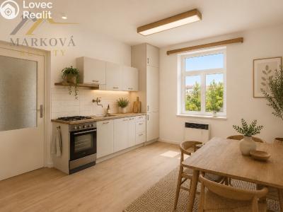 Sale family house Benešov, Žižkova 480 č. 24