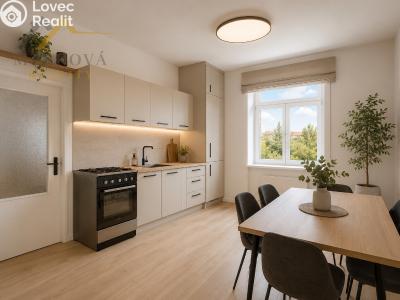 Sale family house Benešov, Žižkova 480 č. 28