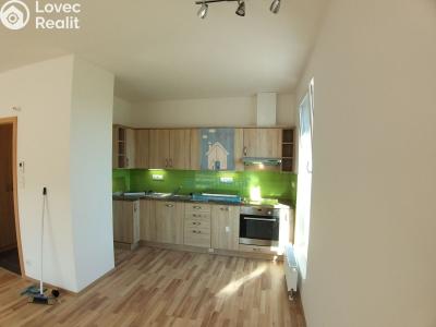 Аренда квартиры 2+KK Plzeň, Nemocniční č. 1