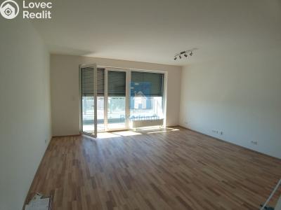 Аренда квартиры 2+KK Plzeň, Nemocniční č. 4